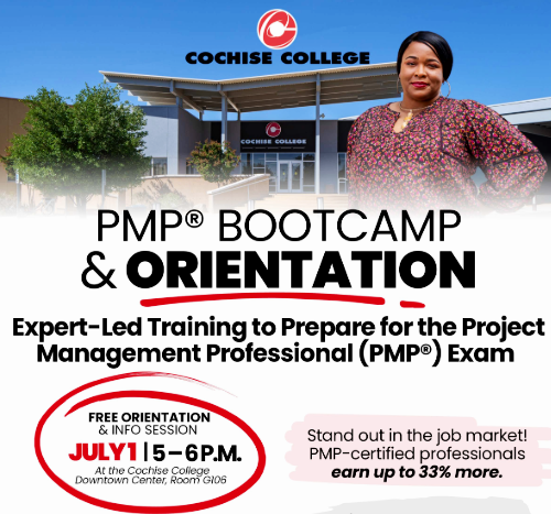 Project Management Professional
