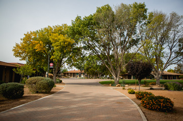 Green space on the Douglas Campus
